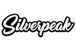Silver Peak Shoes